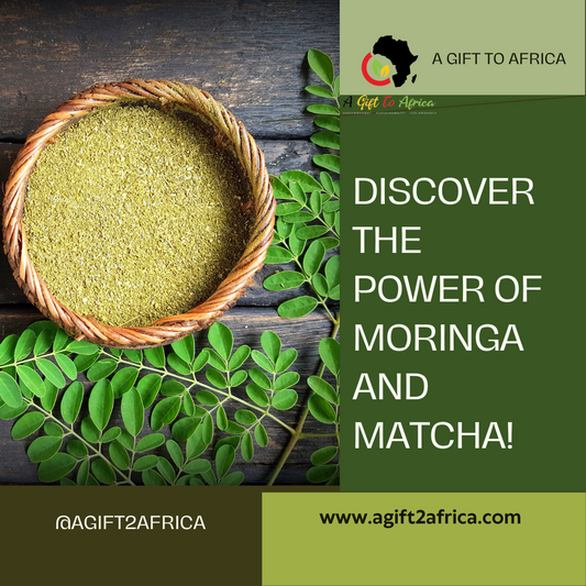 Moringa vs. Matcha: Exploring the Health Benefits of Two Superfood Powders