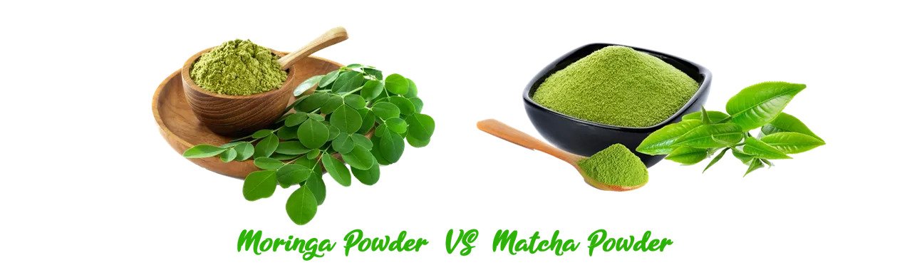 What is the Difference between Moringa and Matcha Powders?