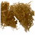 Sea Moss Gel